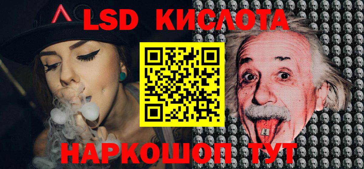 Псилоцибиновые грибы Нововоронеж