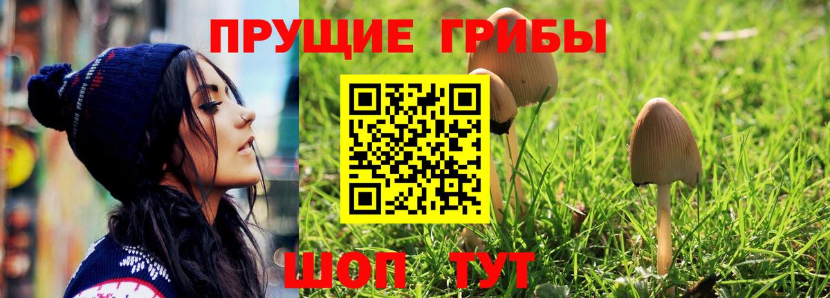 Псилоцибиновые грибы ЛСД  Псилоцибиновые грибы Psilocybe  Нововоронеж  Вход с VPN 