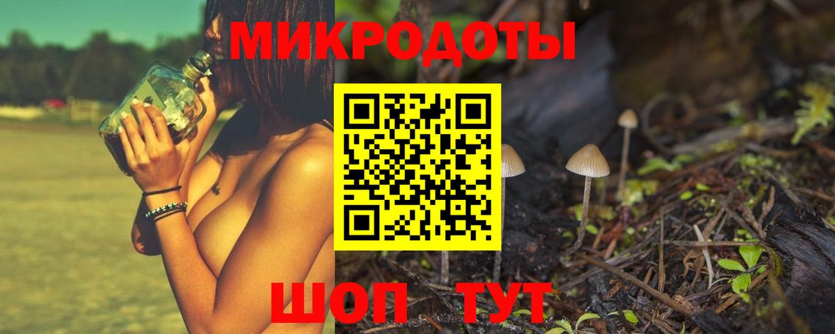 Псилоцибиновые грибы мухоморы Нововоронеж